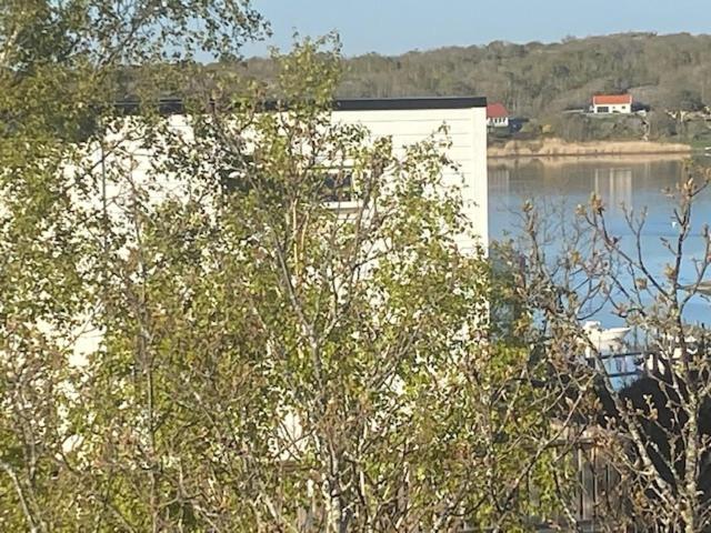 Mycket Trevlig Stuga Pa Braennoe Med Havsutsikt Branno Bagian luar foto