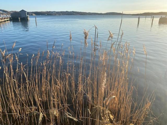 Mycket Trevlig Stuga Pa Braennoe Med Havsutsikt Branno Bagian luar foto